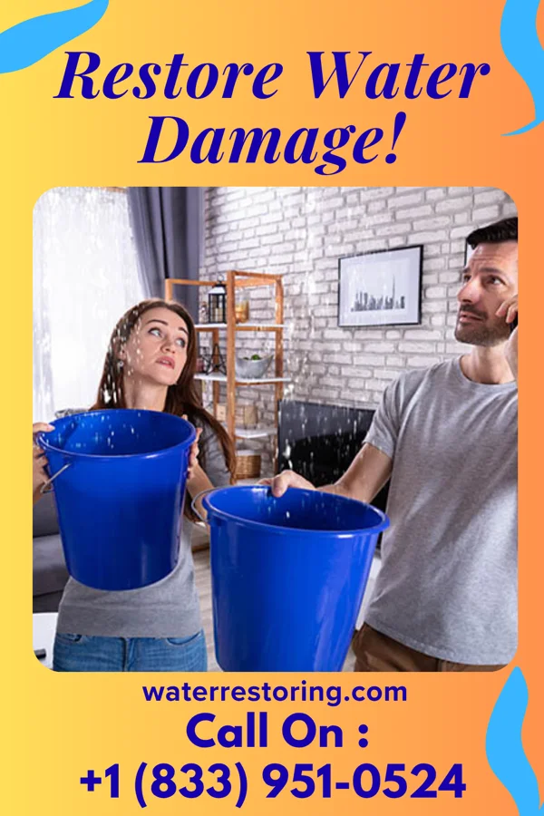 water restoration Royal Mitigation Group Newark