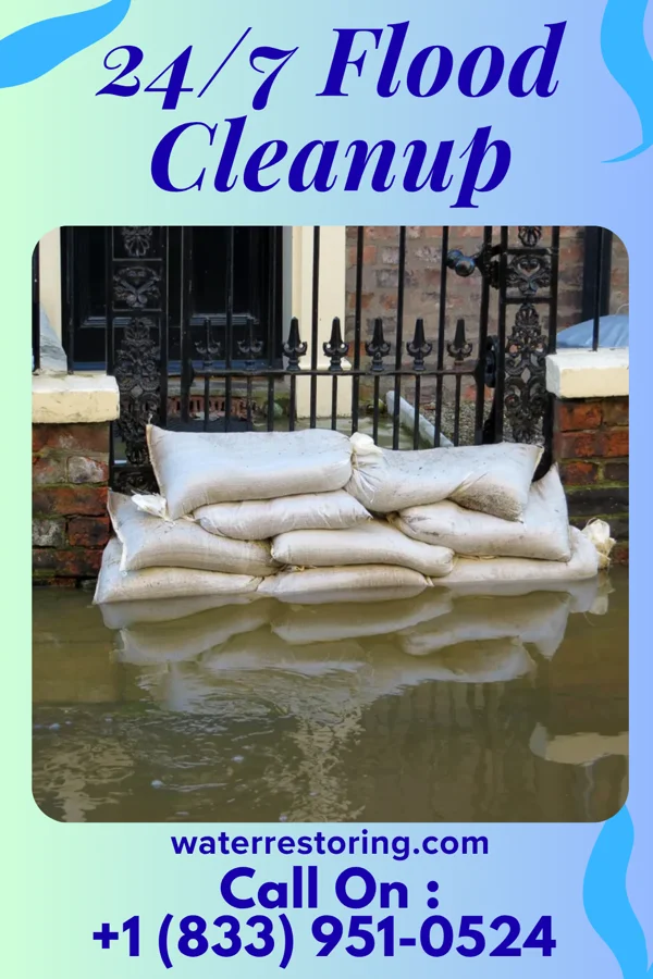 24/7 Flood Cleanup in Newark, NJ