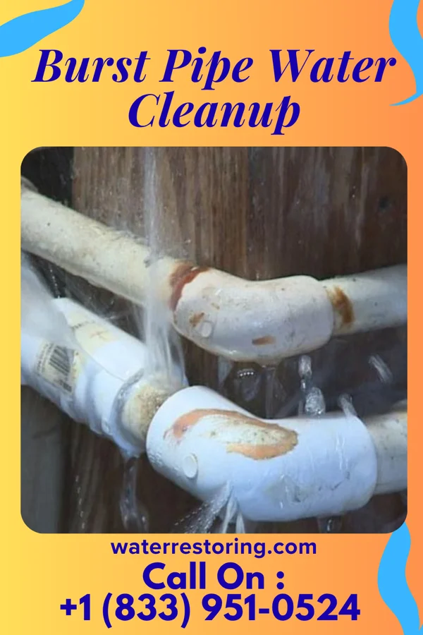 Burst Pipe Water Cleanup in Newark, NJ
