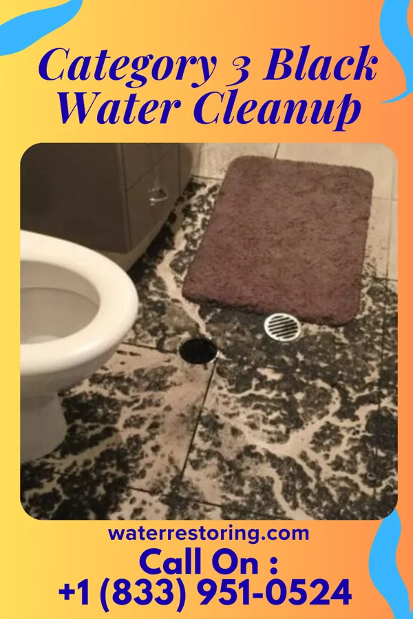 Category 3 Black Water Cleanup in Newark, NJ