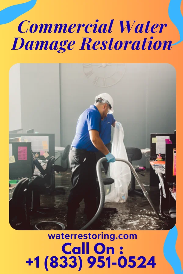 Commercial Water Damage Restoration in Newark, NJ