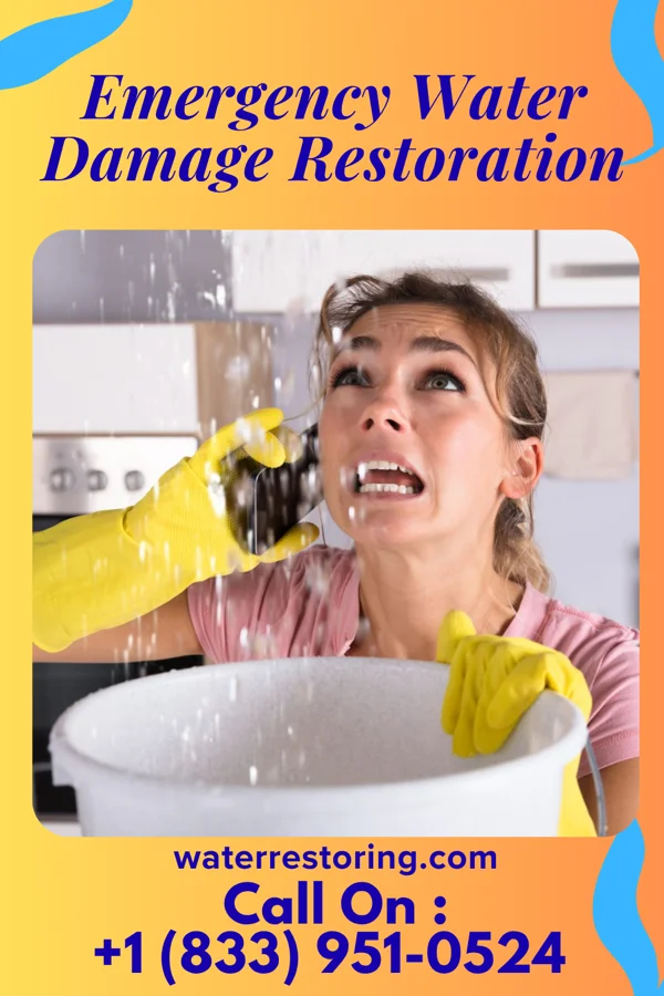 Emergency Water Damage Restoration in Newark, NJ
