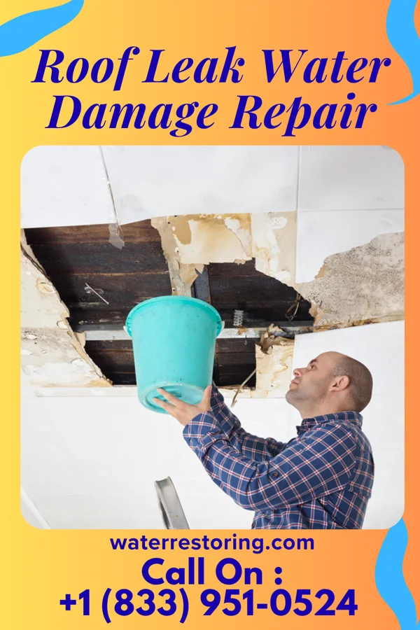Roof Leak Water Damage Repair in Newark, NJ