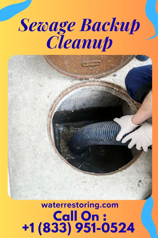 Sewage Backup Cleanup in Newark, NJ